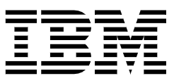 ibm ibm